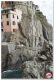 Manarola_281029.jpg