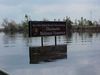 _739_Hurricane_Katrina_2005.jpg