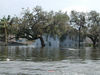 _569_Hurricane_Katrina_200539254488_e.jpg