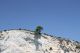 Puglia_Gargano_Vieste_Peschici_Rodi_grotte_2836629.jpg