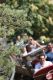 Cowboyland_2811829.jpg