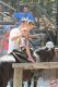 Cowboyland_2817429.jpg