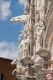 Siena_286629.jpg