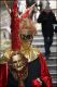 Venezia_carnevale_2012__2811529.jpg