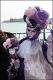 Venezia_carnevale_2012__2832629.jpg