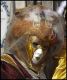 Venezia_carnevale_2012__2835429.jpg