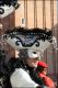 Venezia_carnevale_2012__2839729.jpg