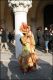 Venezia_carnevale_2012__2849629.jpg