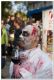 Nome del file=zoomby_walk_28131_di_23029.jpg
Dimensione del file=159KiB
Dimensioni=914x1351
Aggiunta il=Ott 23, 2016 zoomby_walk_28131_di_23029.jpg