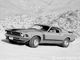 258__Mustang_Boss_302__1970.jpg