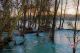 _MG_5927.jpg