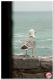 Porto_Venere_283729.jpg