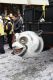 Carnevale_Vercelli_2011_2826529.jpg