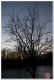 _MG_3852.jpg