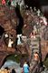 Nome del file=presepe_cuggiono_2009_IMG_5022-qpr.jpg
Dimensione del file=96KiB
Dimensioni=533x800
Aggiunta il=Gen 14, 2010 presepe_cuggiono_2009_IMG_5022-qpr.jpg
