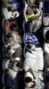 Nome del file=_168_Hurricane_Katrina_2005.jpg
Dimensione del file=30KiB
Dimensioni=223x400
Aggiunta il=Mag 30, 2009 _168_Hurricane_Katrina_2005.jpg