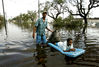 Nome del file=_248_Hurricane_Katrina_2005.jpg
Dimensione del file=42KiB
Dimensioni=399x270
Aggiunta il=Mag 30, 2009 _248_Hurricane_Katrina_2005.jpg