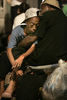 _304_Hurricane_Katrina_2005.jpg