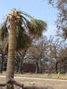 _723_Hurricane_Katrina_200539830903_0.jpg