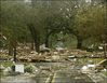 _48_Hurricane_Katrina_2005083005_.jpg