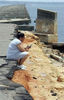 Nome del file=_544_Hurricane_Katrina_200539216653_2.jpg
Dimensione del file=22KiB
Dimensioni=221x344
Aggiunta il=Mag 30, 2009 _544_Hurricane_Katrina_200539216653_2.jpg