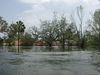_566_Hurricane_Katrina_200539250537_a.jpg