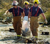 Nome del file=_591_Hurricane_Katrina_200539270250_9.jpg
Dimensione del file=63KiB
Dimensioni=400x354
Aggiunta il=Mag 30, 2009 _591_Hurricane_Katrina_200539270250_9.jpg