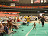 Nome del file=_659_Hurricane_Katrina_200539428687_7.jpg
Dimensione del file=50KiB
Dimensioni=400x300
Aggiunta il=Mag 30, 2009 _659_Hurricane_Katrina_200539428687_7.jpg