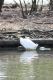 Legnano_animali_parco_2011_marzo_ridotte.jpg