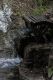 Legnano_animali_parco_2011_marzo_ridotte_282229.jpg