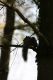 Legnano_animali_parco_2011_marzo_ridotte_284829.jpg