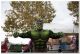LuccaComics2018_2879529.jpg
