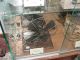 DSC00124.JPG