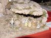 104__Presepe_Cuggiono_2005_.JPG