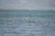 Puglia_Gargano_Vieste_Peschici_Rodi_grotte_2826829.jpg