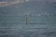 Puglia_Gargano_Vieste_Peschici_Rodi_grotte_2827229.jpg