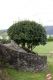 Nome del file=Rocca_di_Angera00106.jpg
Dimensione del file=268KiB
Dimensioni=854x1281
Aggiunta il=Mag 02, 2012 Rocca_di_Angera00106.jpg