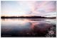 _MG_6595.jpg