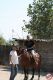 Cowboyland_2814229.jpg