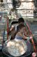 Cowboyland_2818729.jpg