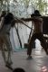 Cowboyland_2830029.jpg