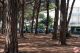 Marina_di_Cecina_282929.jpg