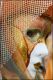 Venezia_carnevale_2012__2810729.jpg