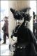 Venezia_carnevale_2012__2833129.jpg