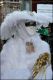 Nome del file=Venezia_carnevale_2012__2861729.jpg
Dimensione del file=170KiB
Dimensioni=862x1289
Aggiunta il=Feb 16, 2012 Venezia_carnevale_2012__2861729.jpg