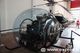 IMG_7100-qpr.jpg