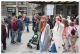 zoomby_walk_28192_di_23029.jpg