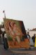 palio_arluno00140.jpg