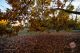 _MG_6075.jpg