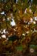 _MG_6076.jpg